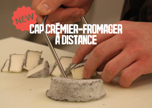 CAP Crémier-fromager hybride Fromages et produits laitiers